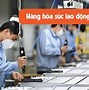 Giải Phóng Sức Lao Động Là Gì