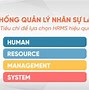 Kỹ Năng Quản Lý Nhân Sự Tiếng Anh