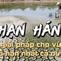 Thuận Hải Là Ở Đầu Ở Đâu Trên Thế Giới